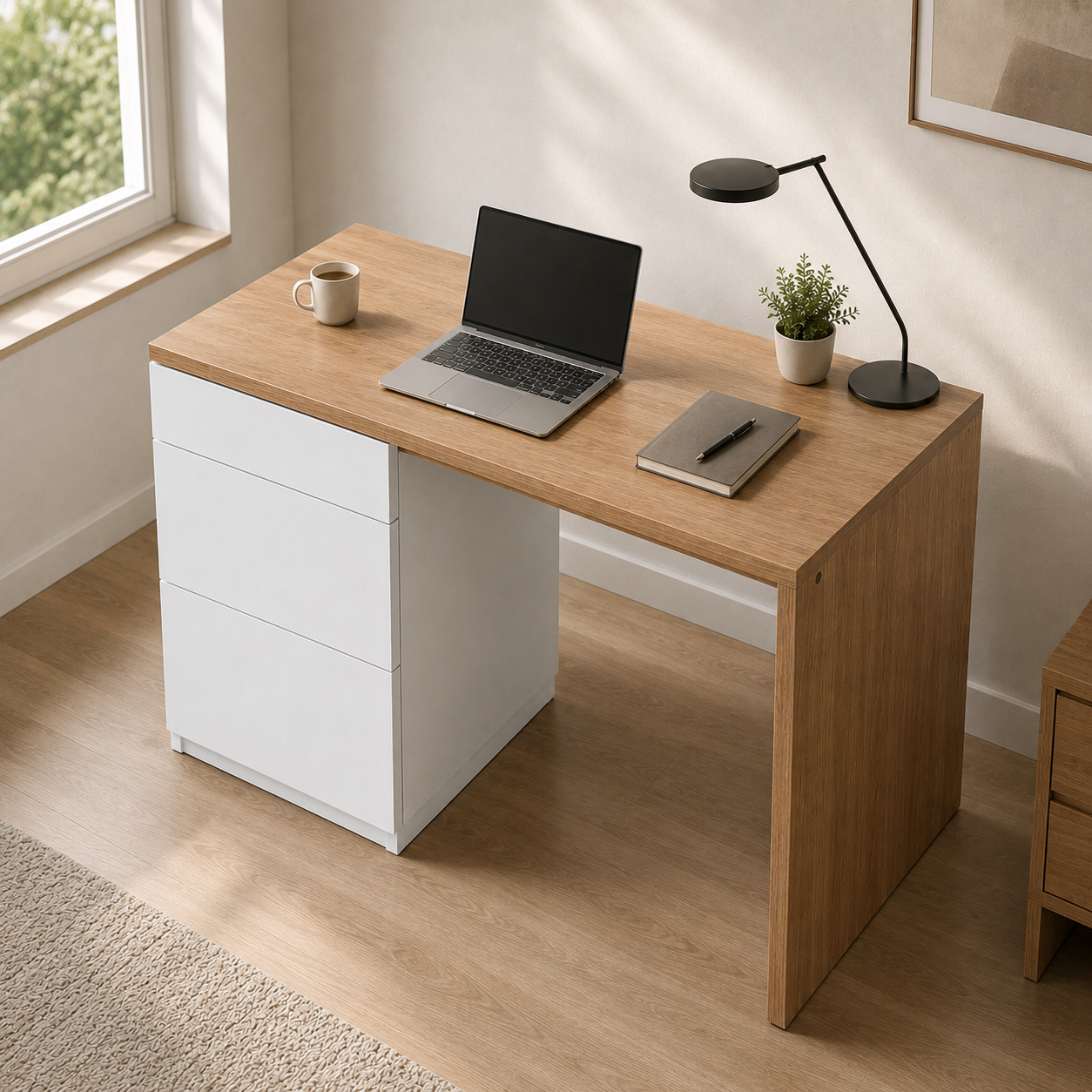 Rojin's Desk Storage