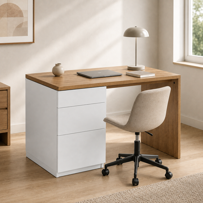 Rojin's Desk Storage