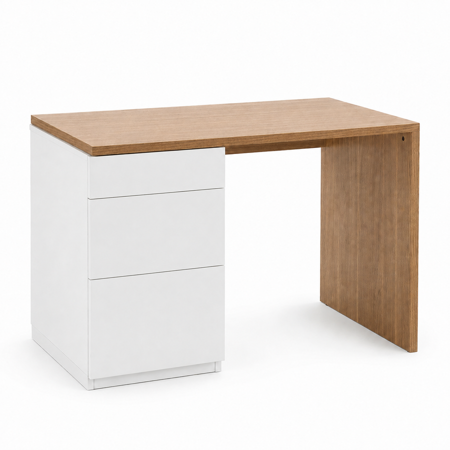 Rojin's Desk Storage
