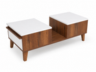 Anove Center Table woody